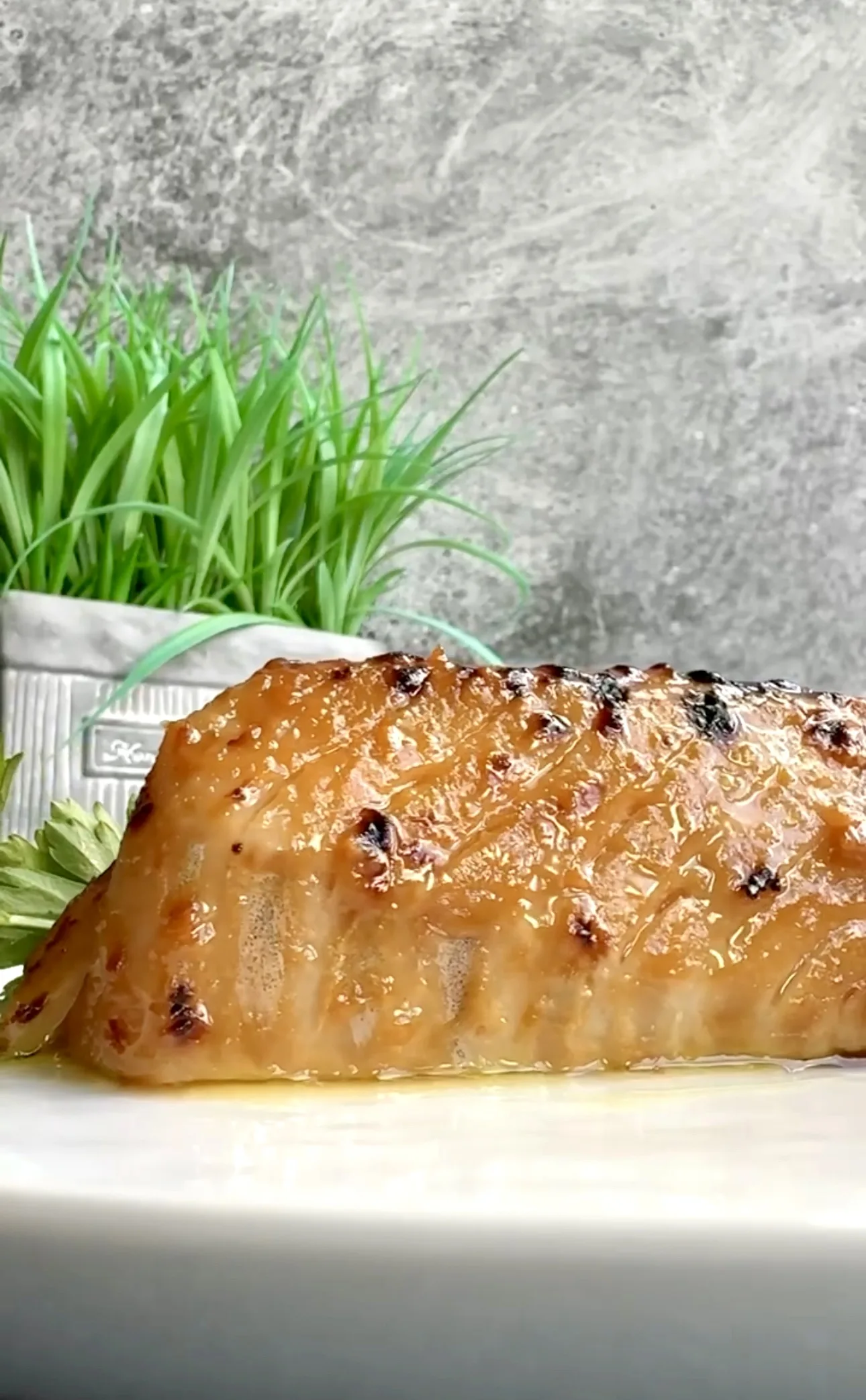 Miso Cod with Red Miso