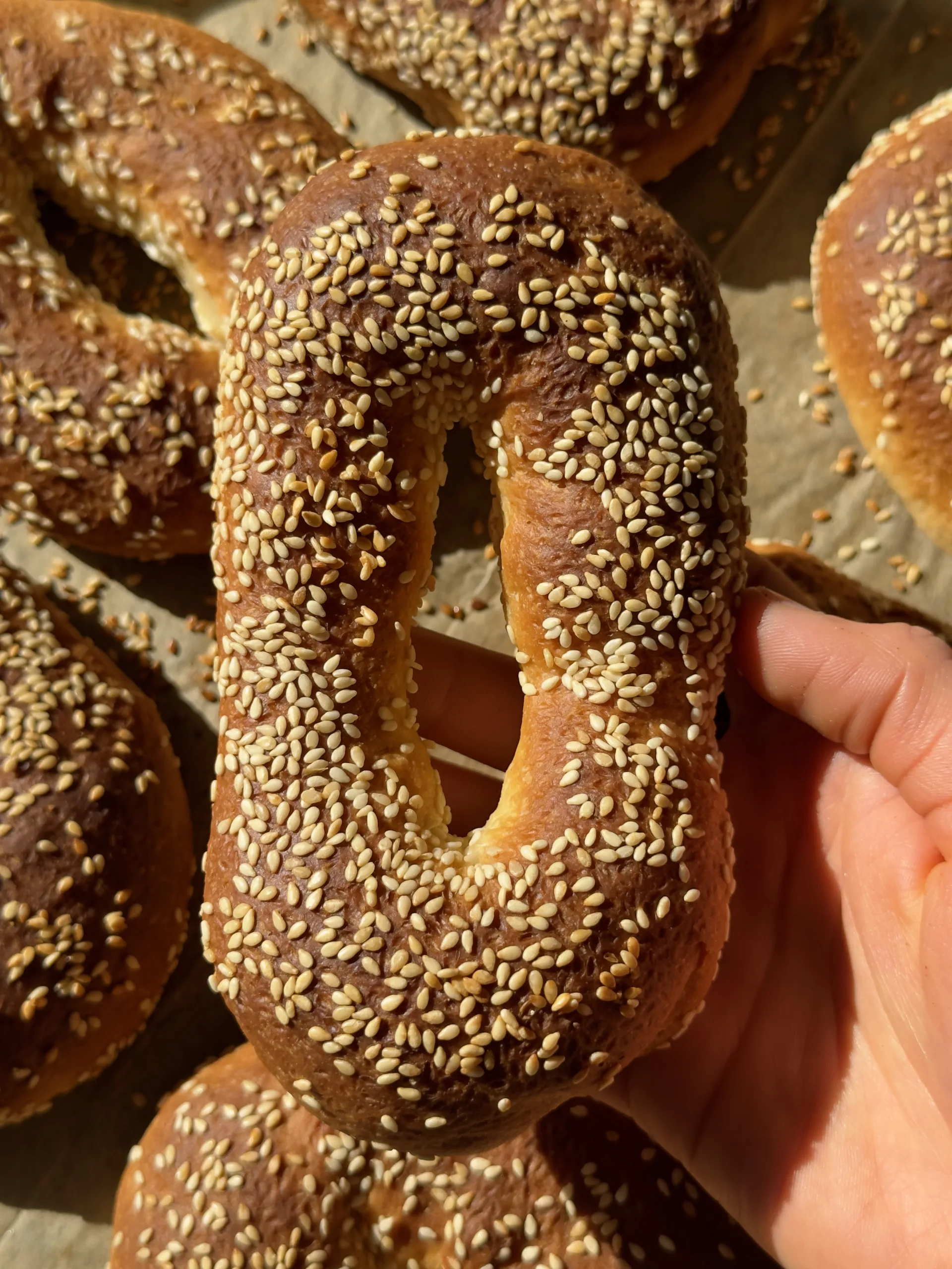 EASY JERUSALEM BAGELS | vegan recipe