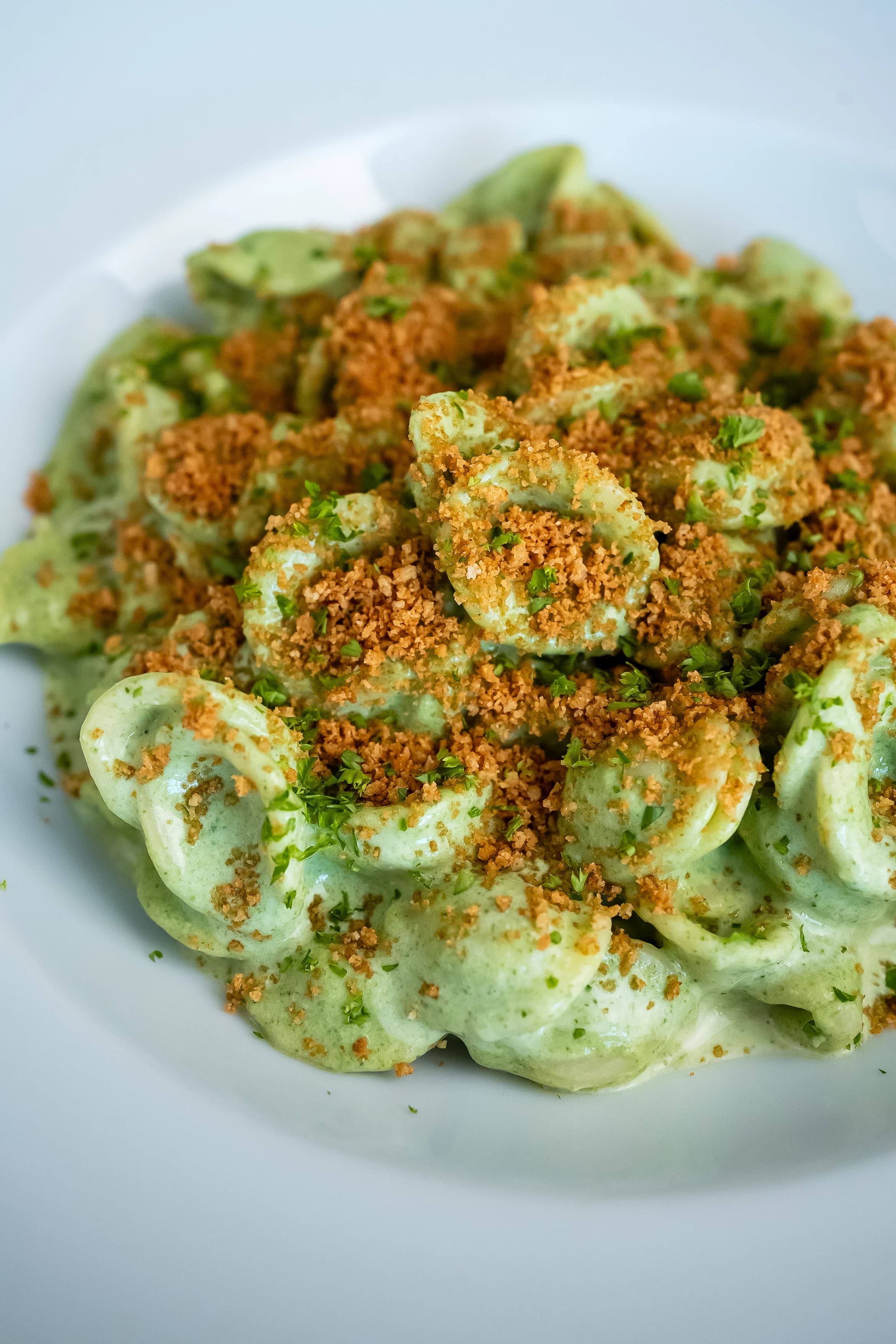 Ricotta & Spinach Orecchiette