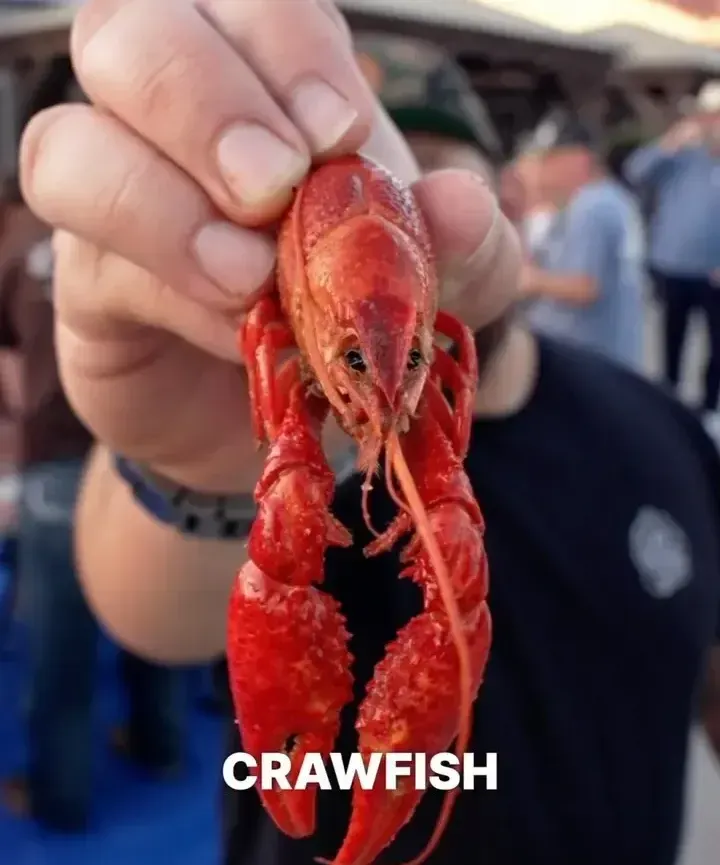 Kinky Crawfish Boil