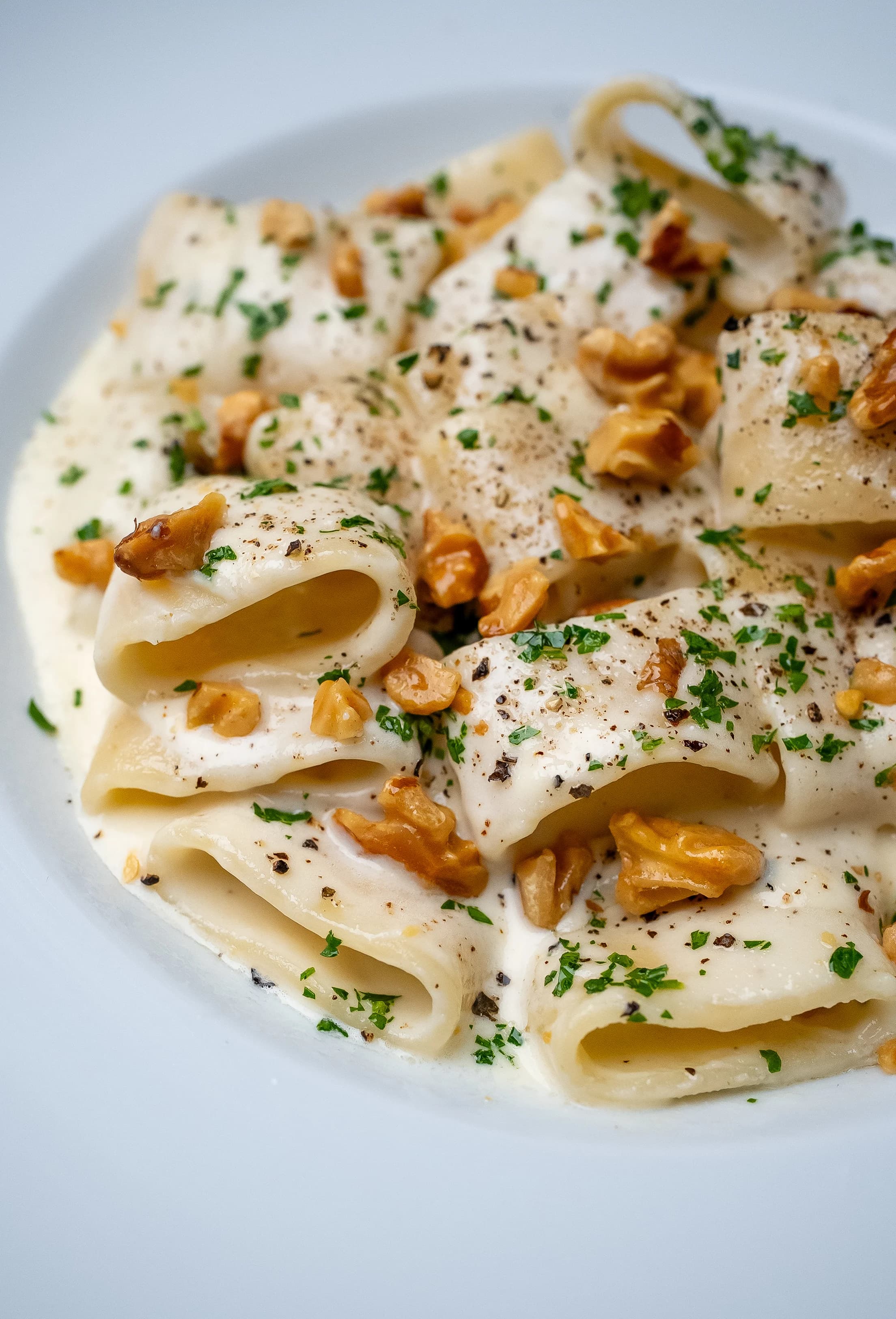 Four Cheese Pasta