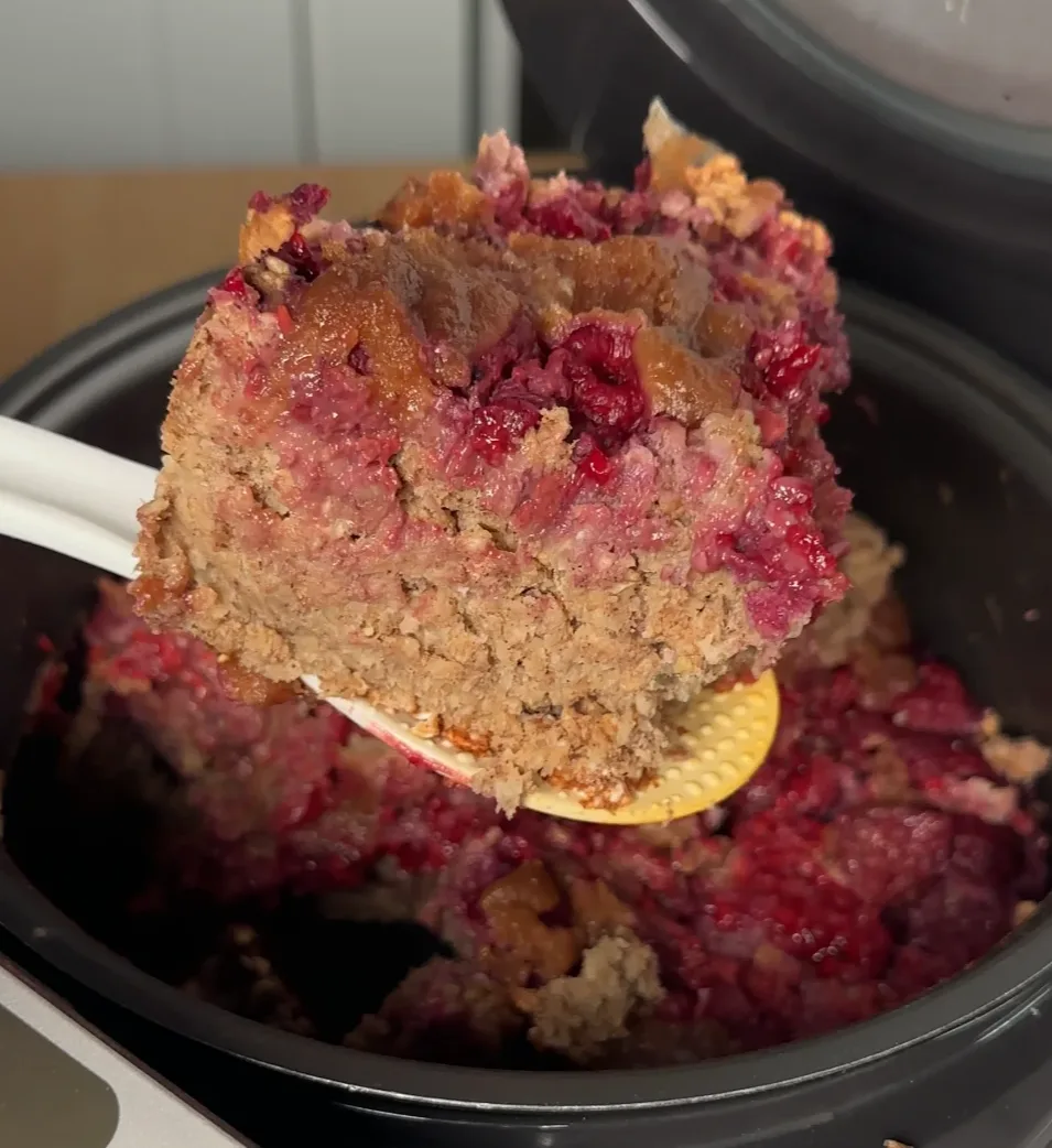 Rice Cooker Oatmeal Protein Cake