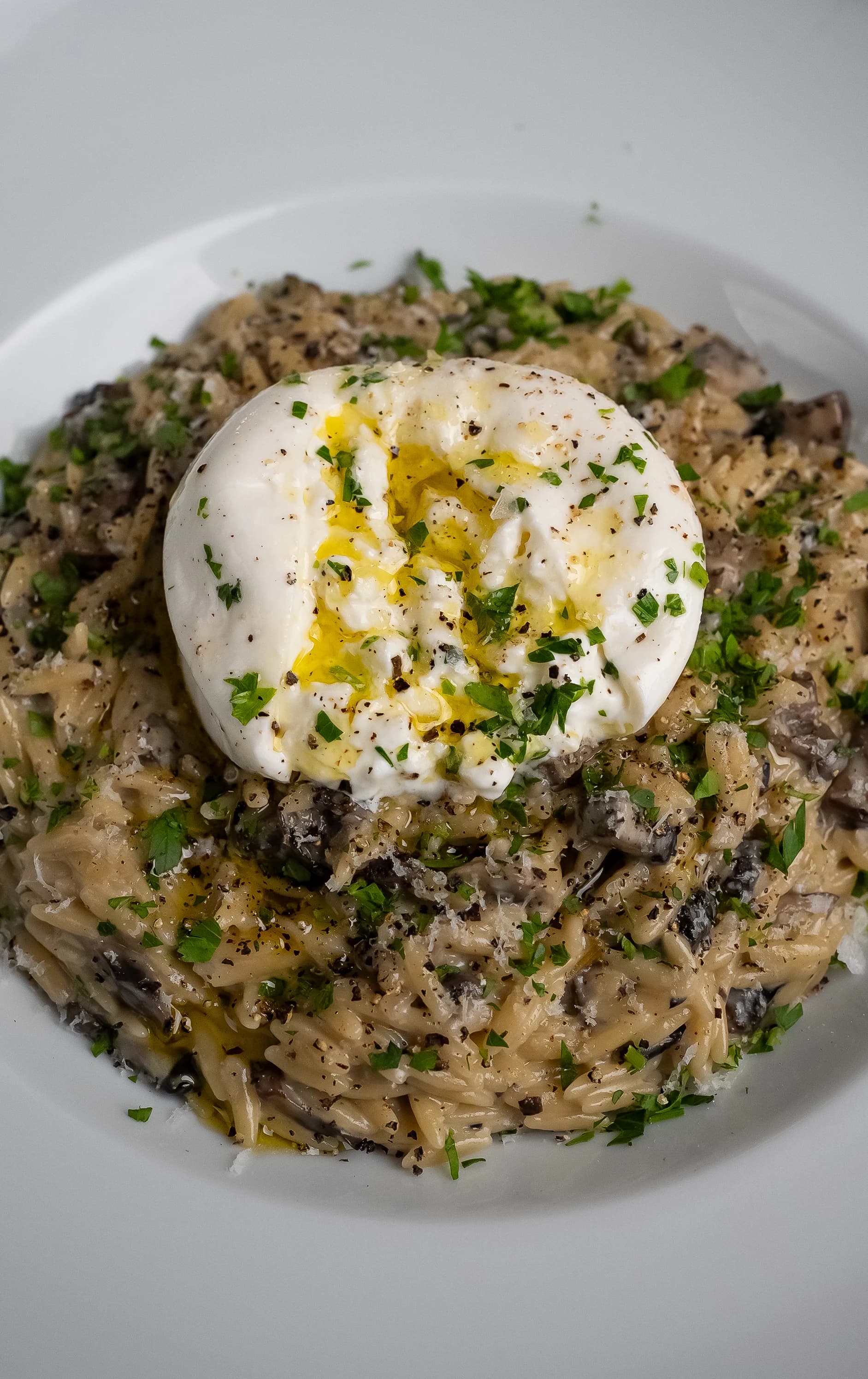 Creamy Mushroom Orzo with Burrata